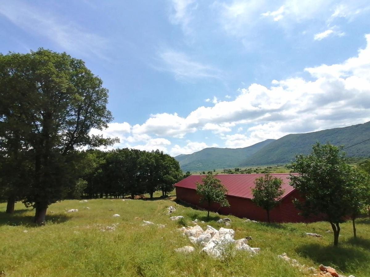 Farma & Apartmani II Opg Sasa Delic Grabusic Exteriér fotografie