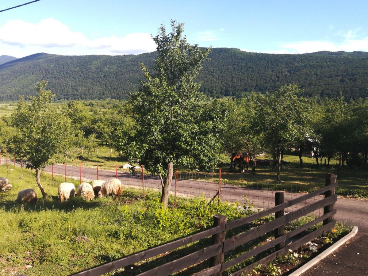 Farma & Apartmani II Opg Sasa Delic Grabusic Exteriér fotografie