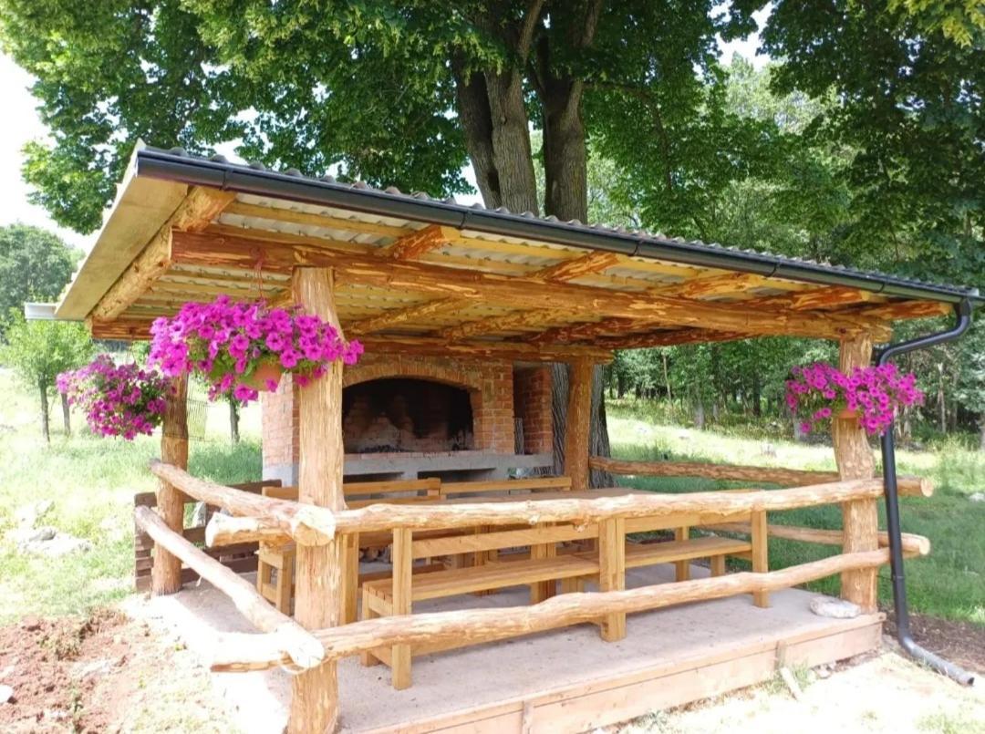 Farma & Apartmani II Opg Sasa Delic Grabusic Exteriér fotografie